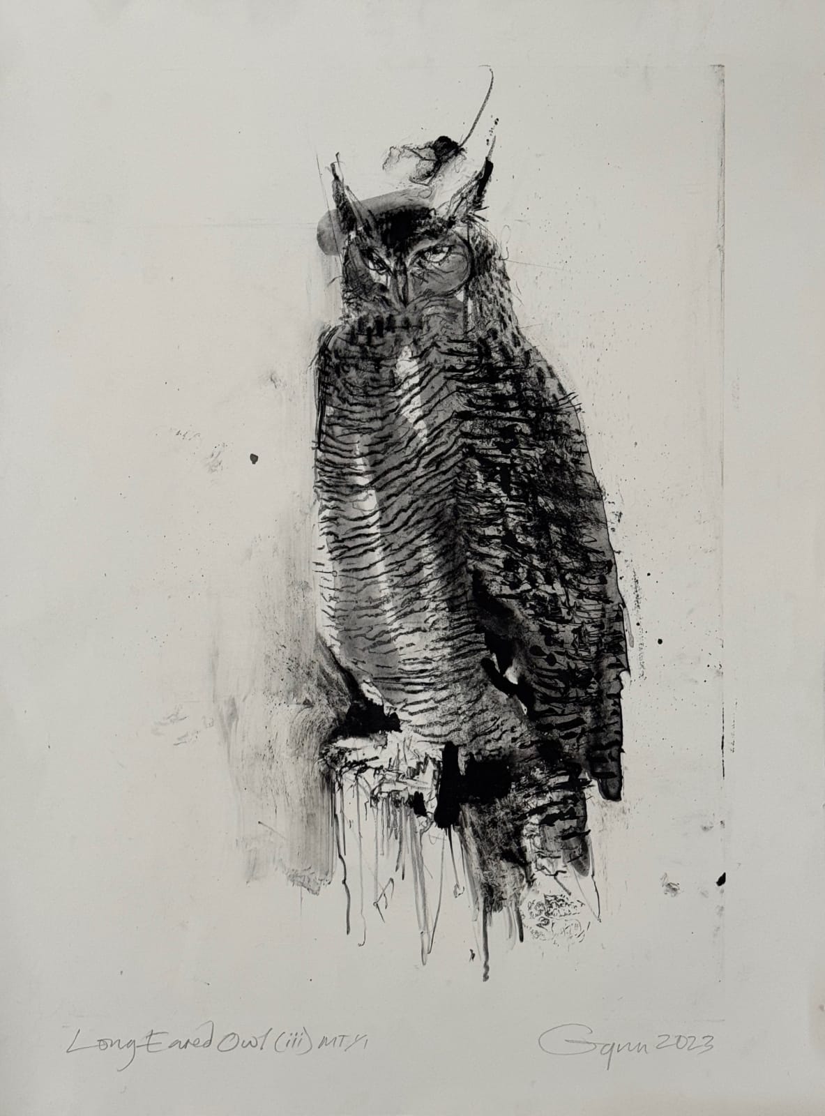 Frances Gynn RWA, Long-Eared Owl (III), 2023