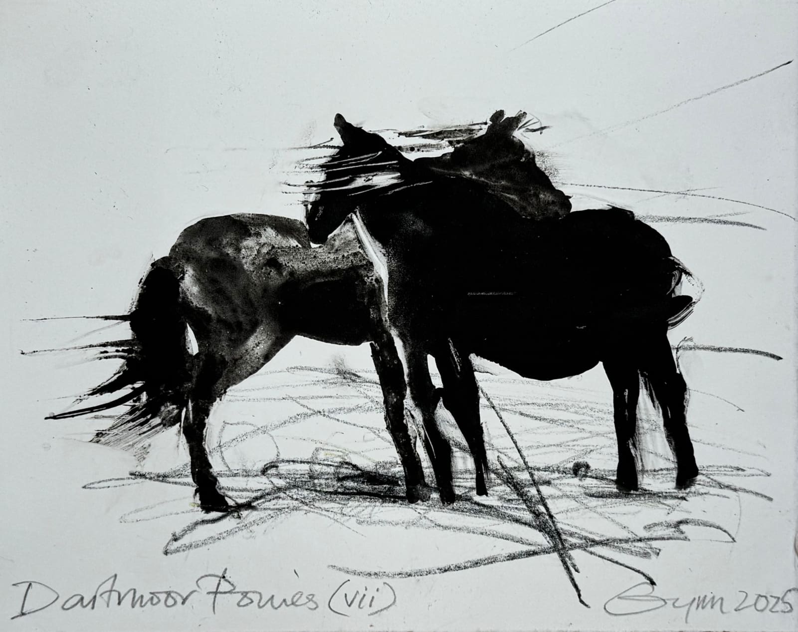 Frances Gynn RWA, Dartmoor Ponies VII, 2025