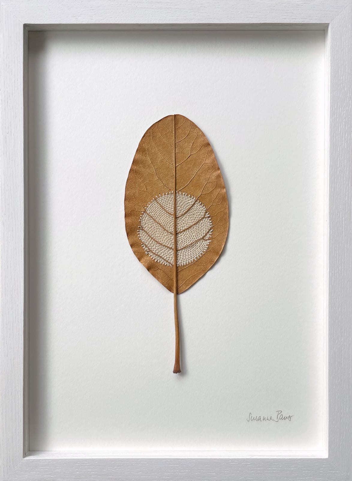 Susanna Bauer art for sale