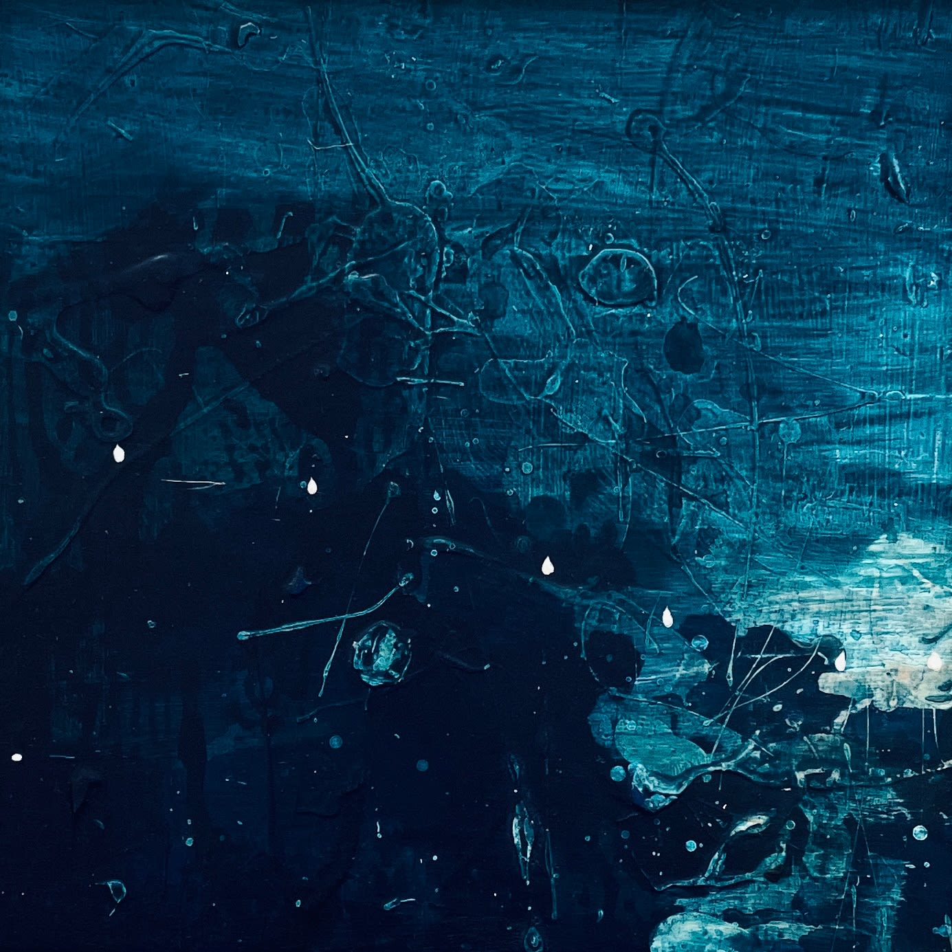 Bethany Kohrt, Plexus II, 2025