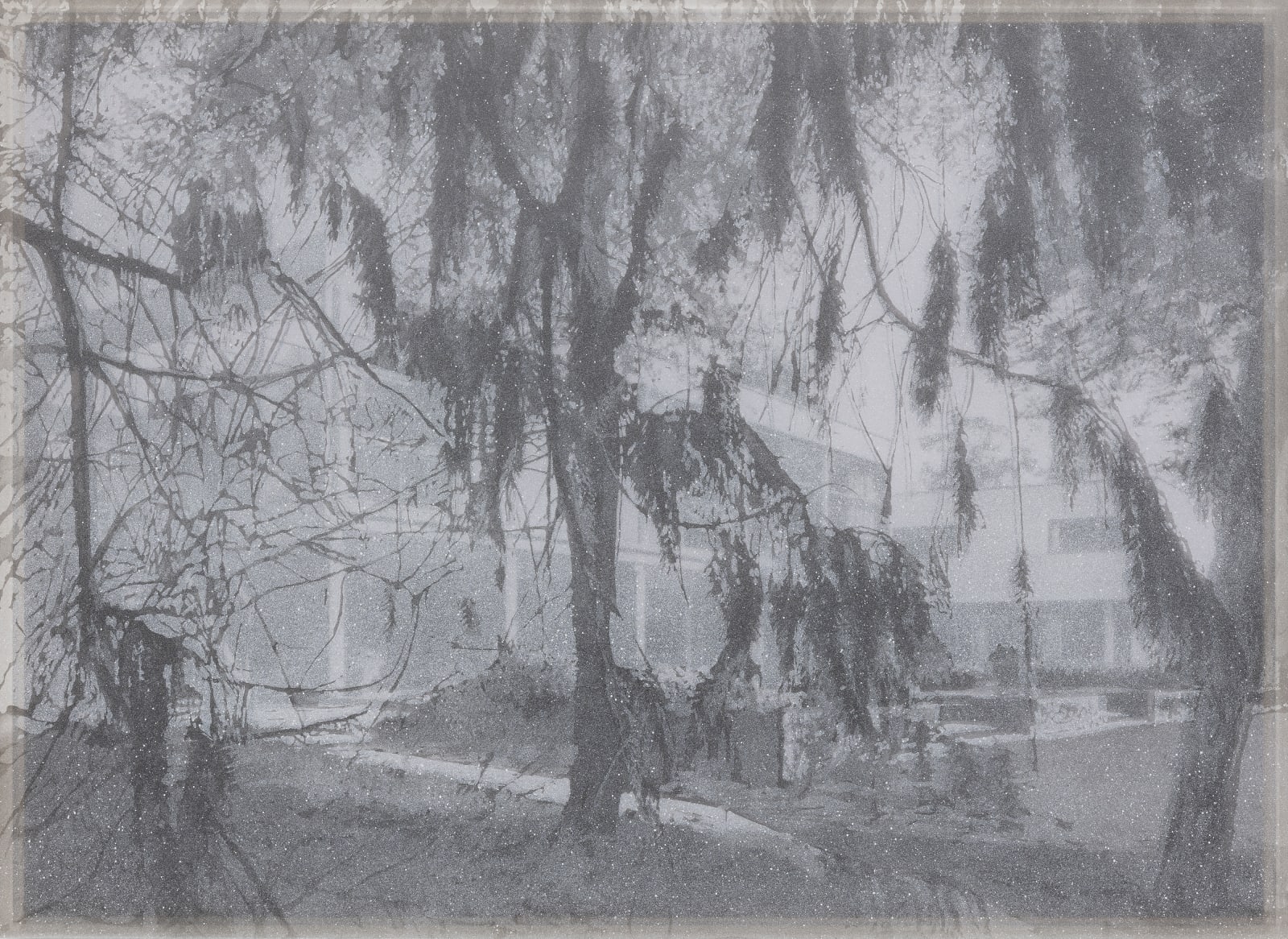 Alex Hartley, The Homewood Jungle, 2019