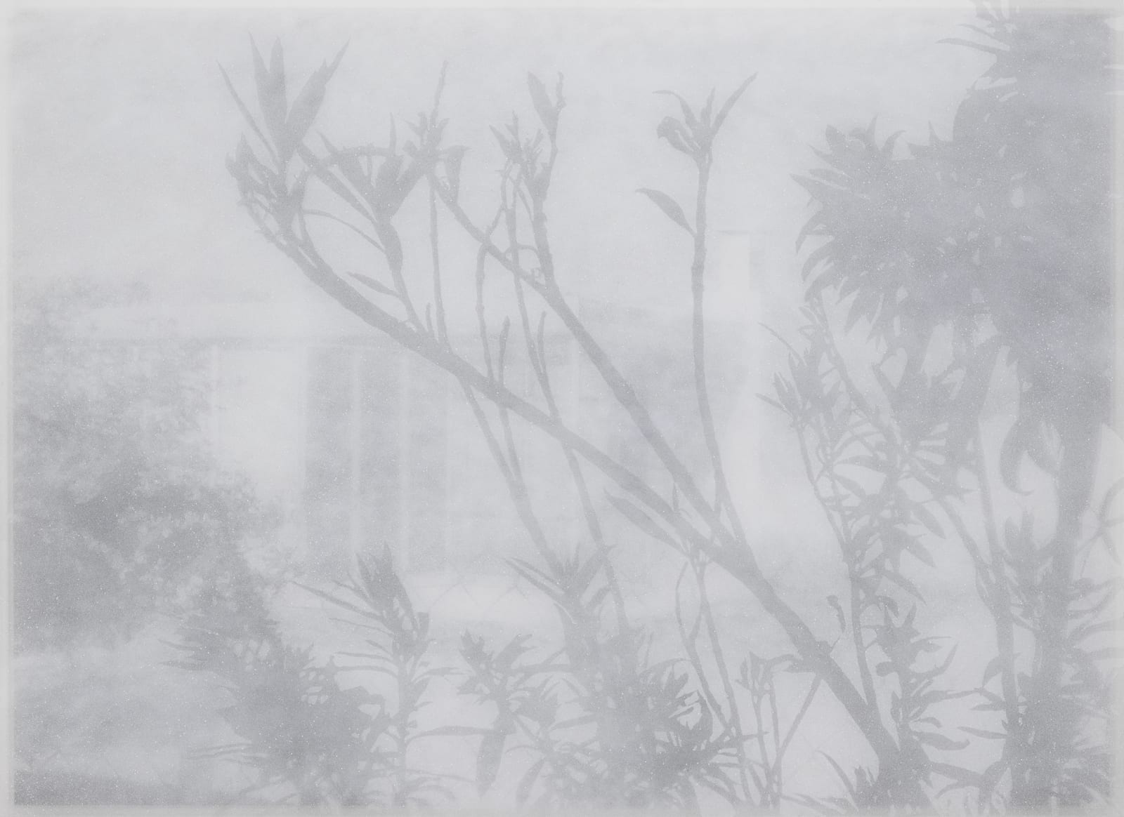 Alex Hartley, Grace Miller House (North Elevation), 2018