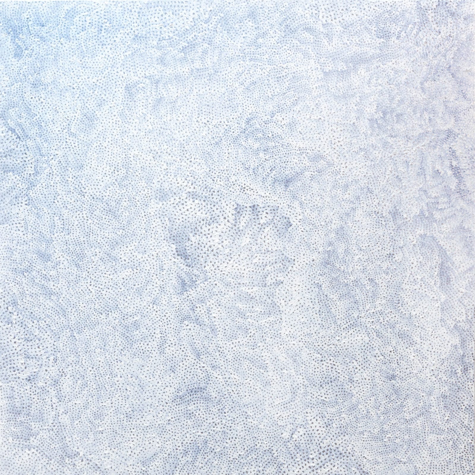 Yayoi Kusama, WHITE-INFINITY-NETS, 2015