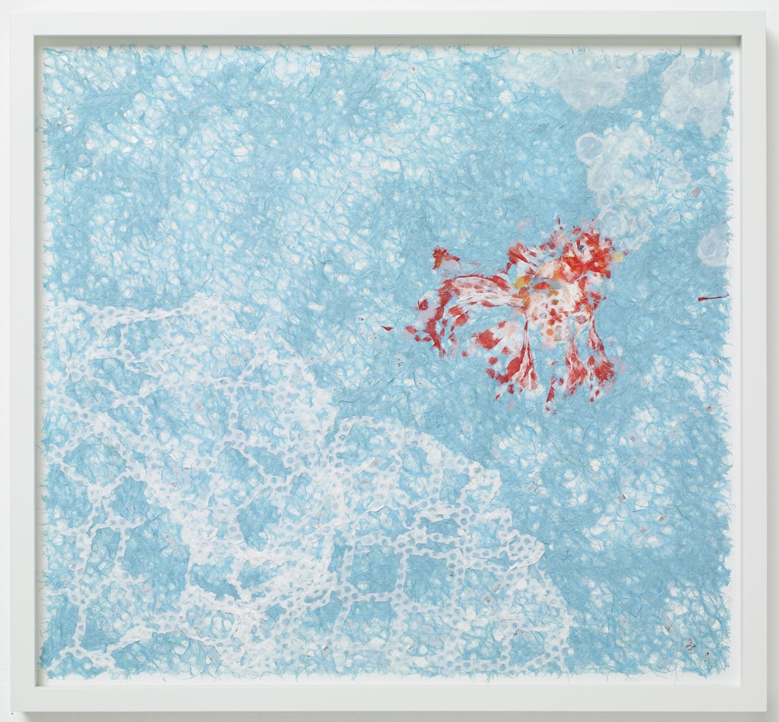 Christian Holstad, Breeding Stars, 2014