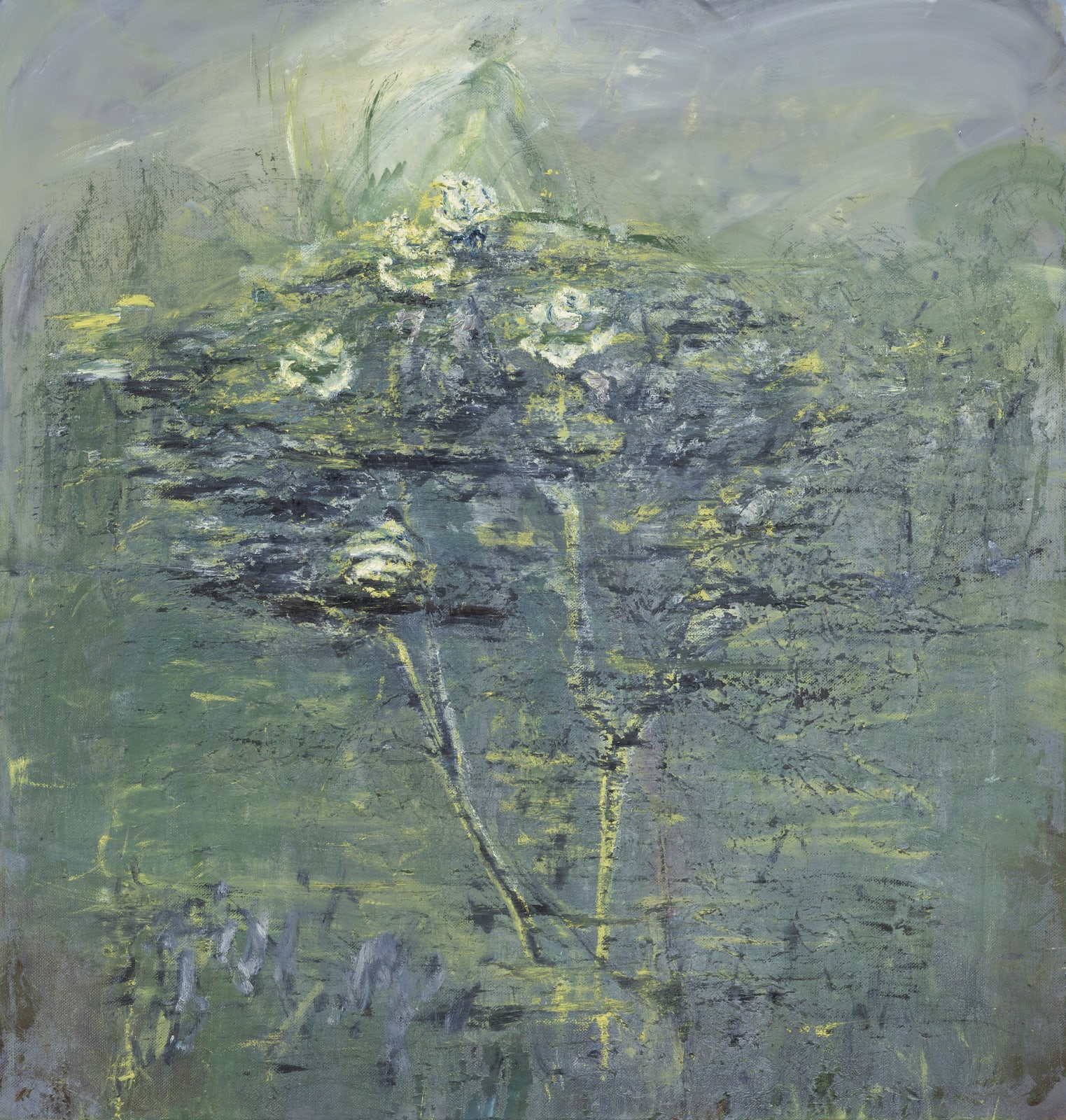 Celia Paul, Rosebush, Magdalene Garden, 2017