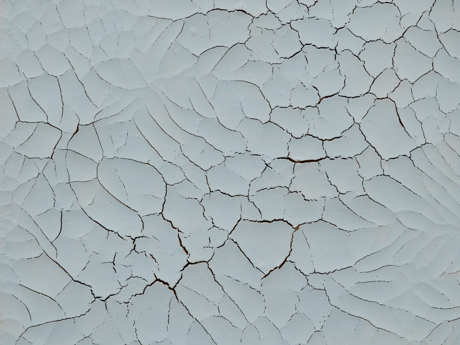 Adriana Varejão, Macau Wall (Blue) 11, 2001