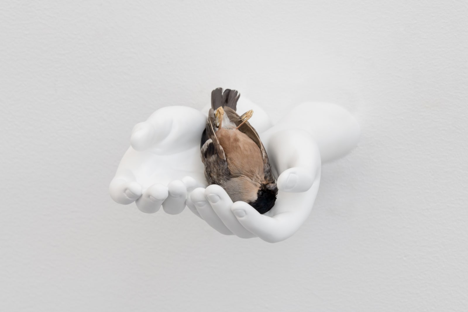 Elmgreen & Dragset, Still Life (Bullfinch), 2024