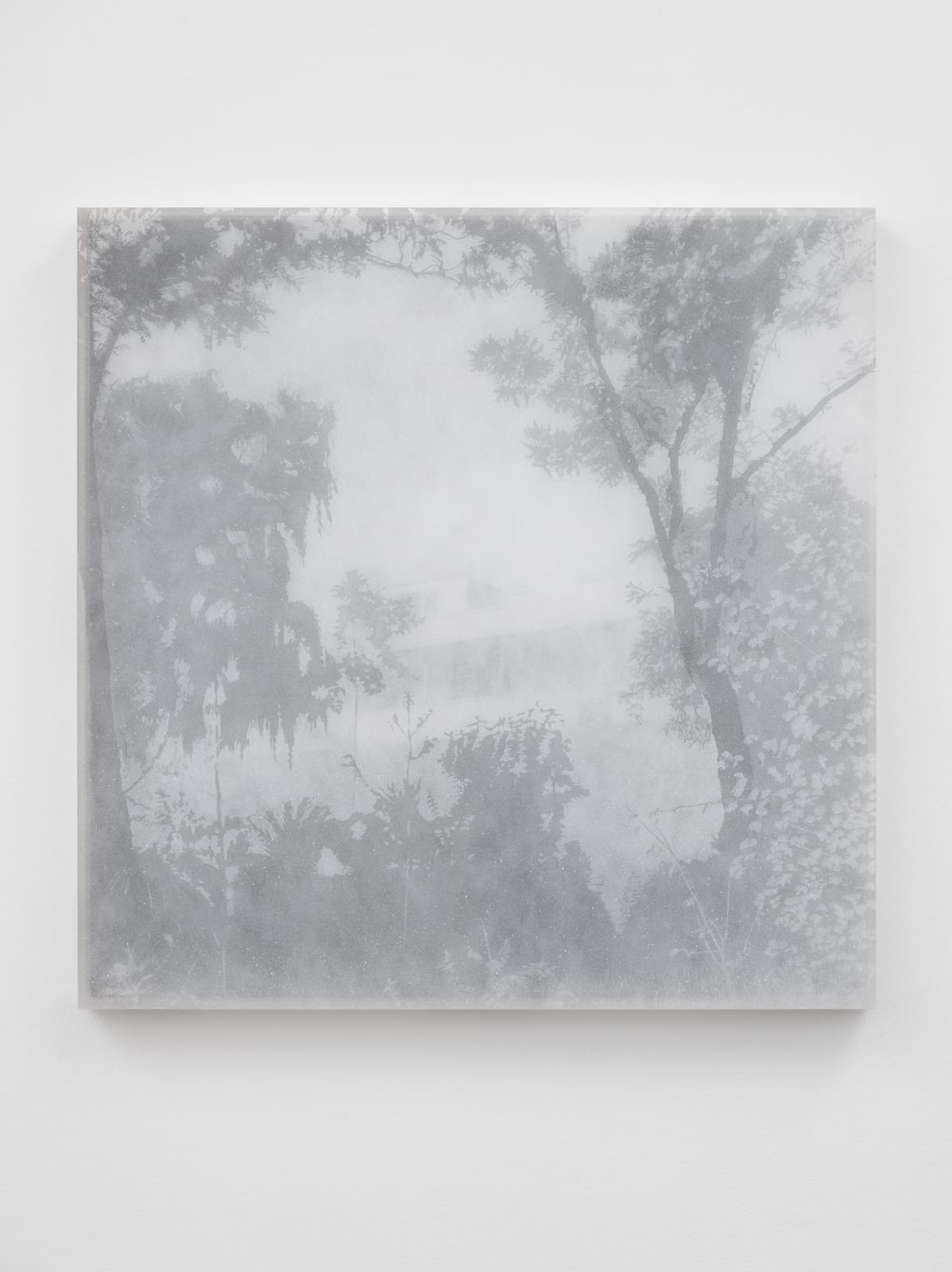 Alex Hartley, Villa Tugendhat, 2018
