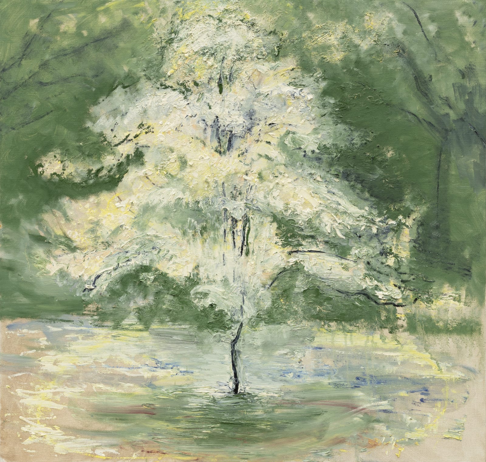 Celia Paul, Hawthorn Blossom Tree, 2019