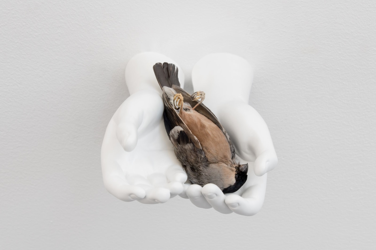 Elmgreen & Dragset, Still Life (Bullfinch), 2024
