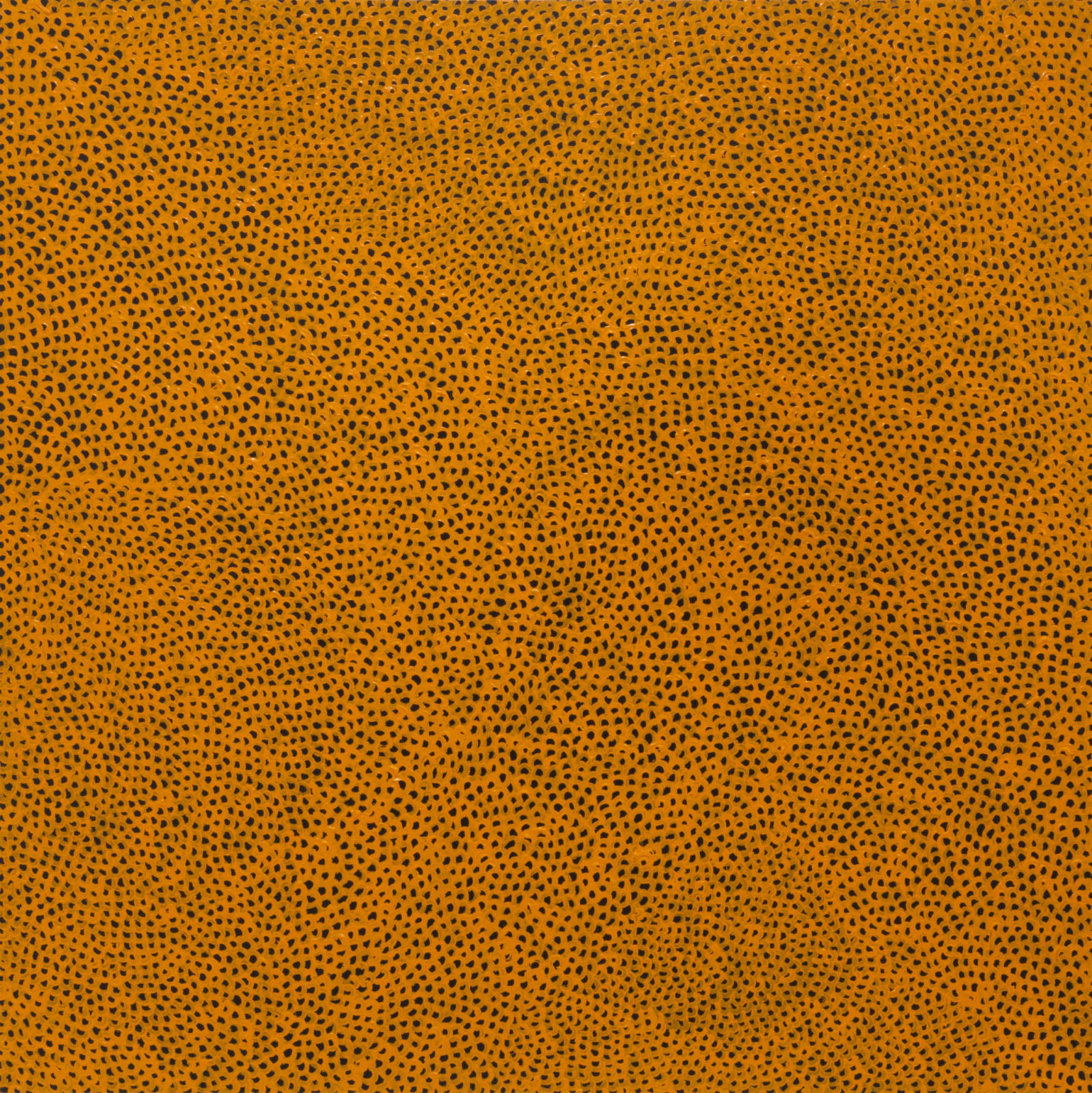 Yayoi Kusama, INFINITY-NETS SSOP, 2016