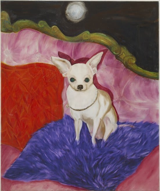 David Harrison, Velvet Goldmine, 2002