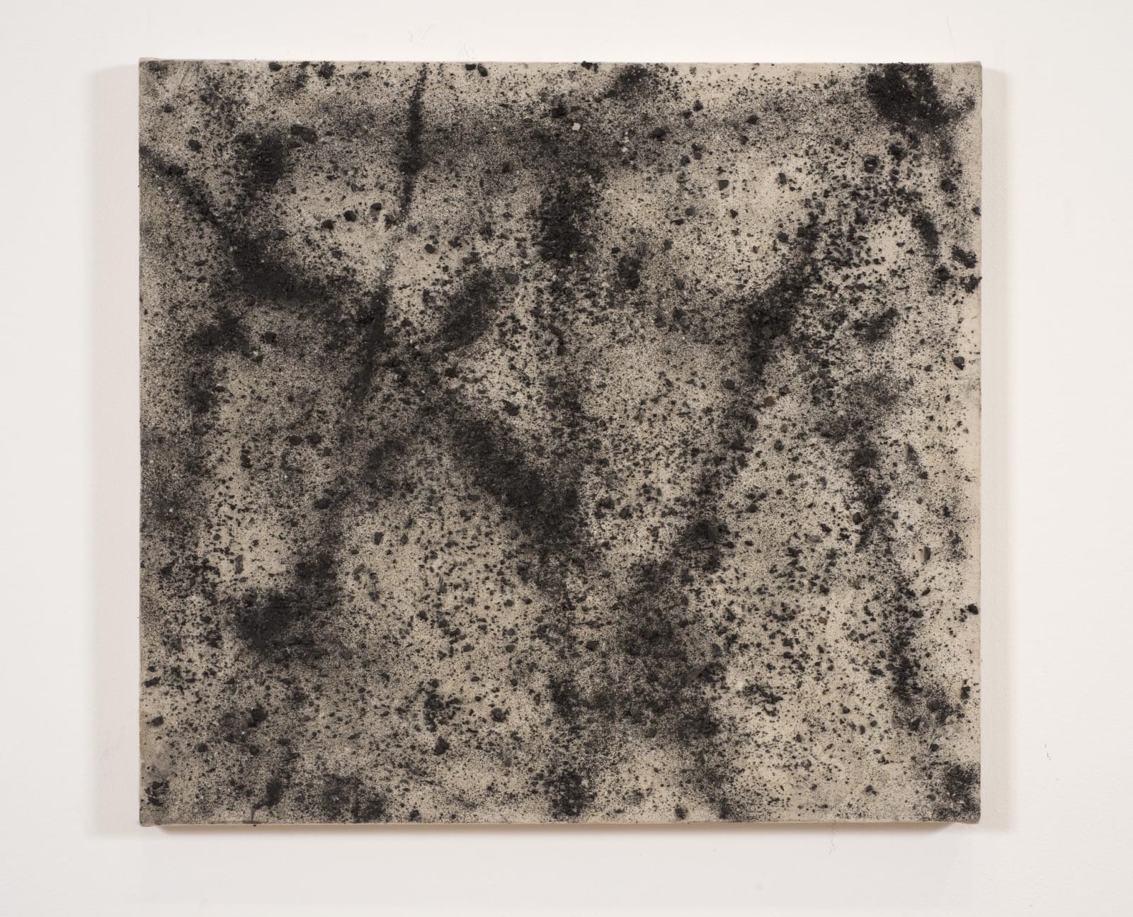 Duncan MacAskill, Small Shadows in the Ash Landscape, 2010