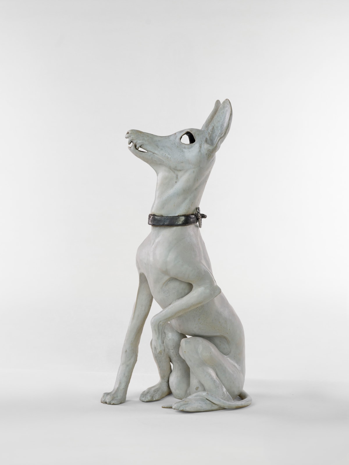 Ako Goto, Dog #5, 2025