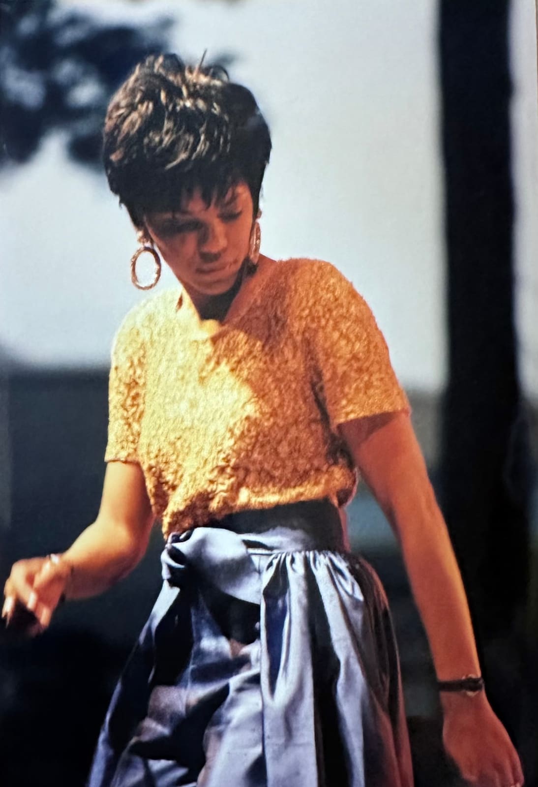 Nneena Freelon by Sue Ross