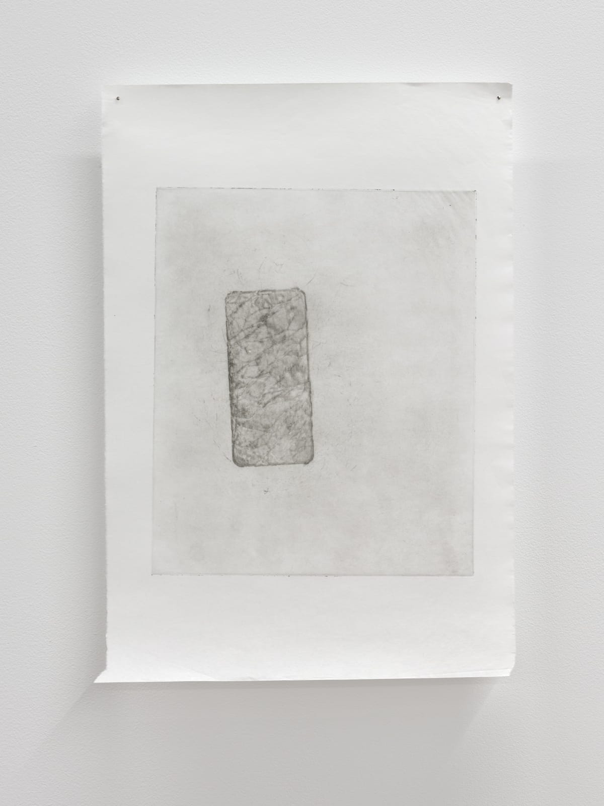 Luca Nicholas, in bloom xxiii, 2019