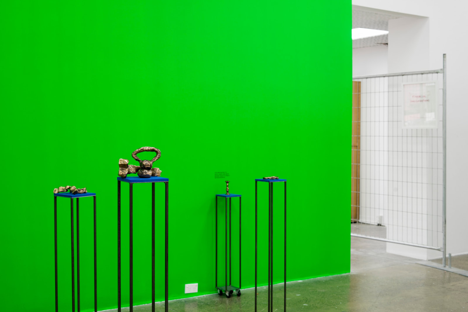 Hannah Valentine, Actionadaption (installation view), New Perspectives, Artspace Aotearoa, Tāmaki Makaurau Auckland, 2016