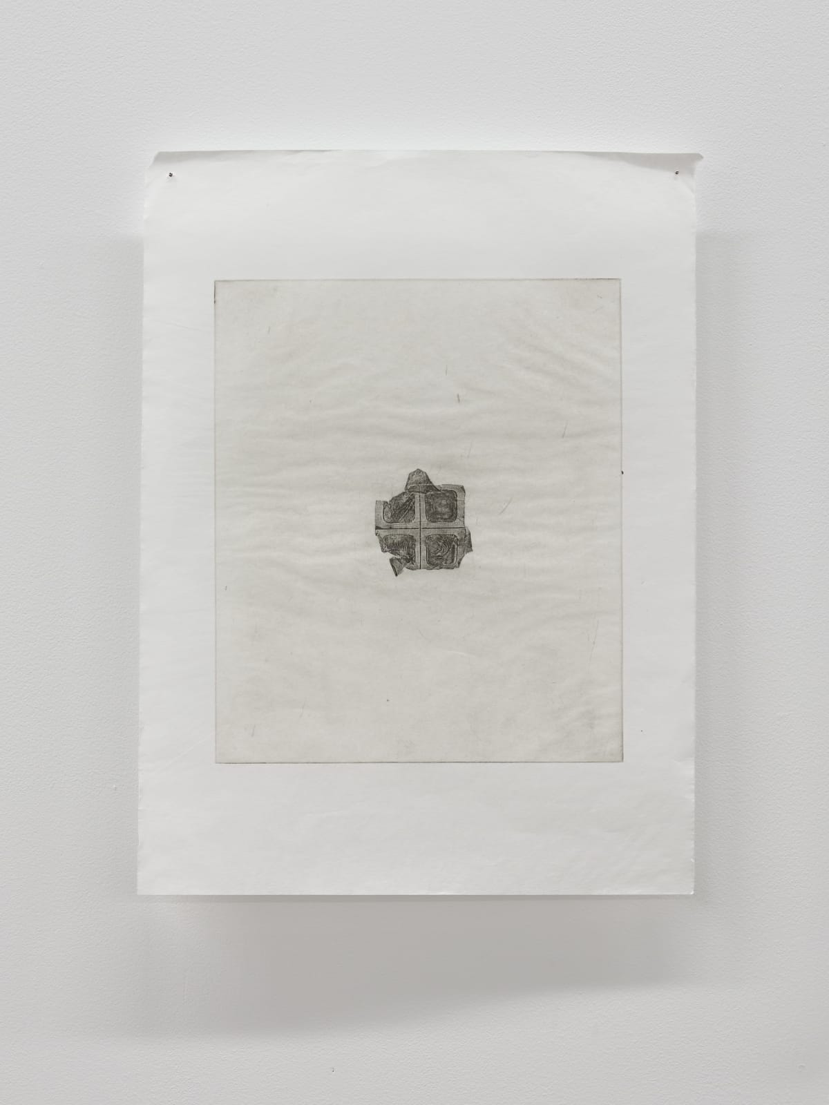 Luca Nicholas, in bloom xvii, 2019