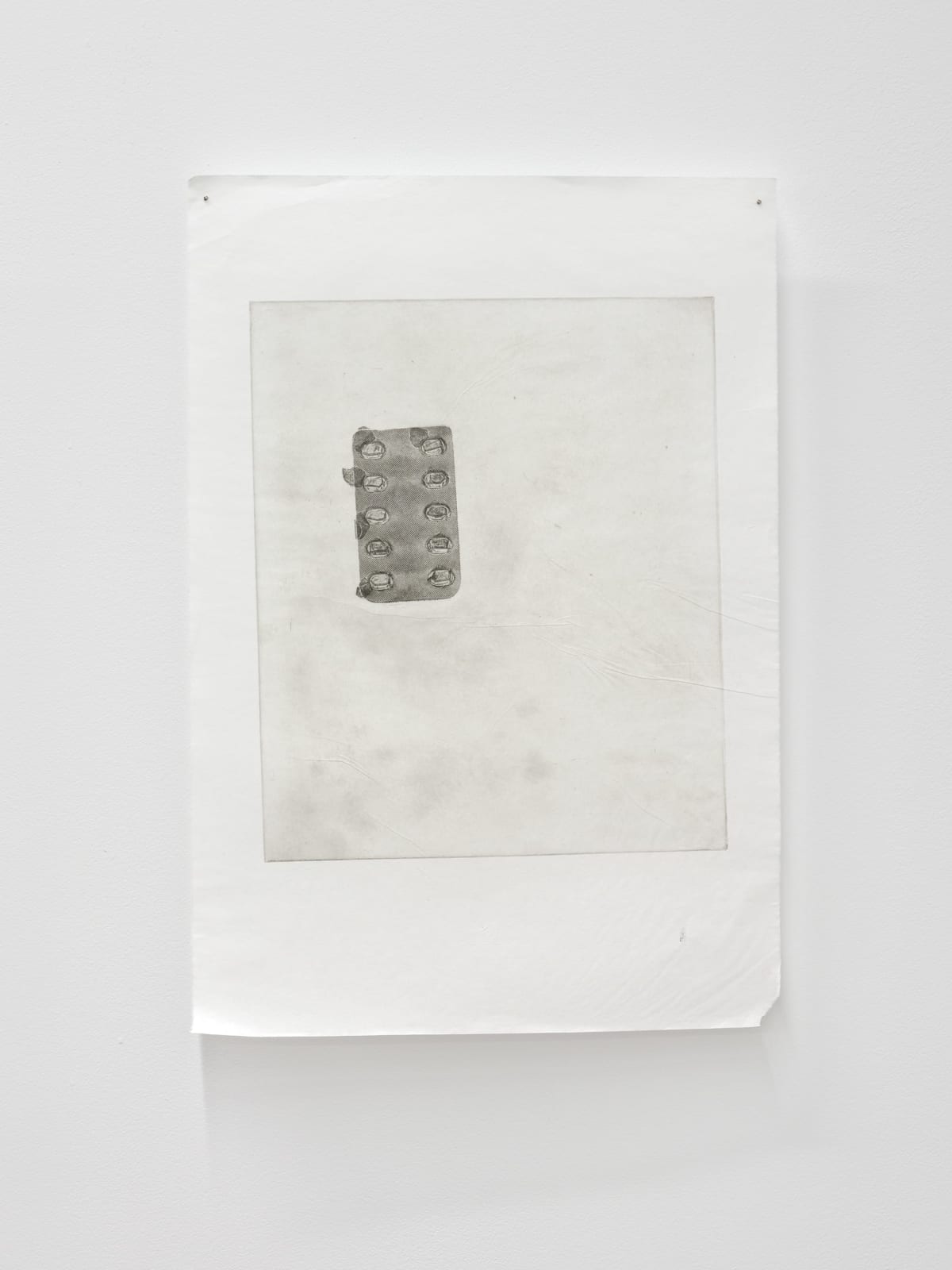 Luca Nicholas, in bloom xii, 2019
