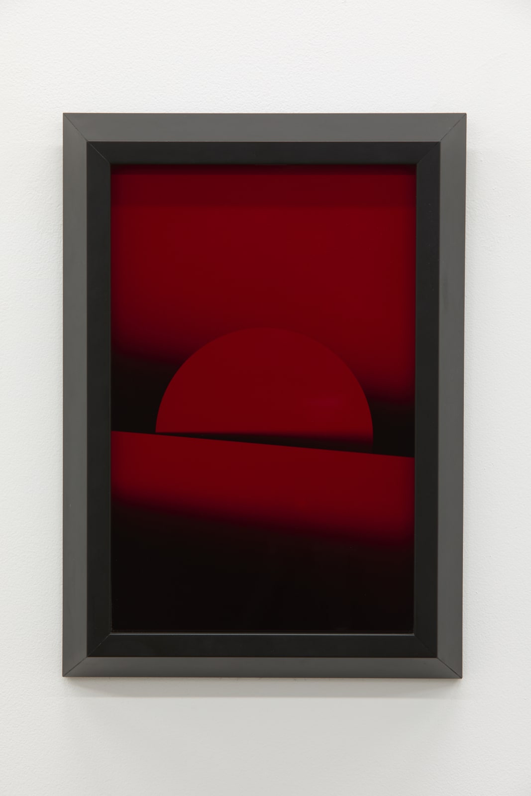 Andrew Beck, Red Iris II, 2020
