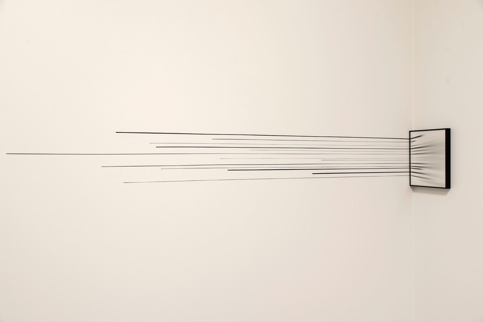 Andrew Beck, Aporia (Dispersion), SOLO, Dowse art museum , 2018