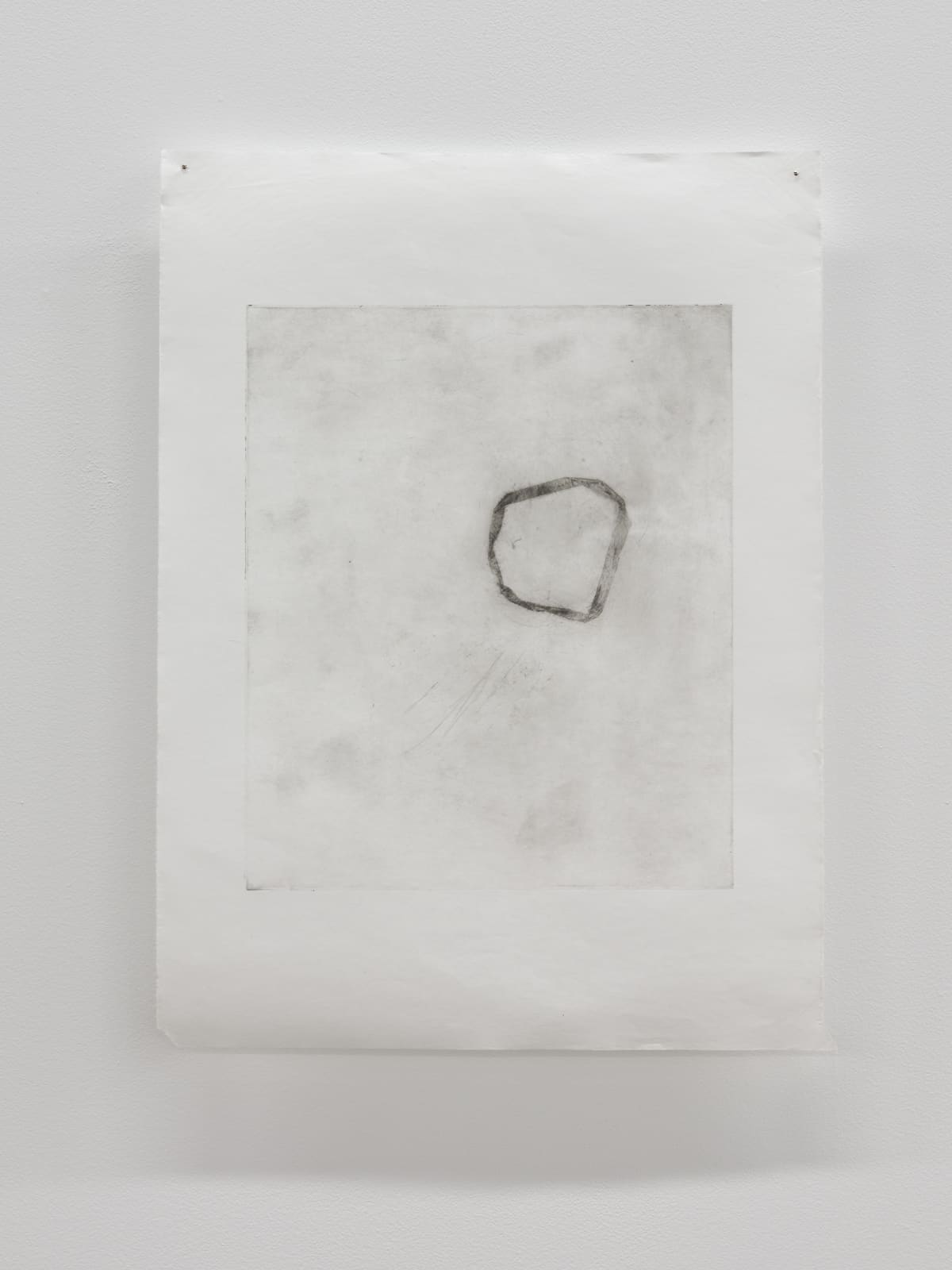 Luca Nicholas, in bloom xxi, 2019