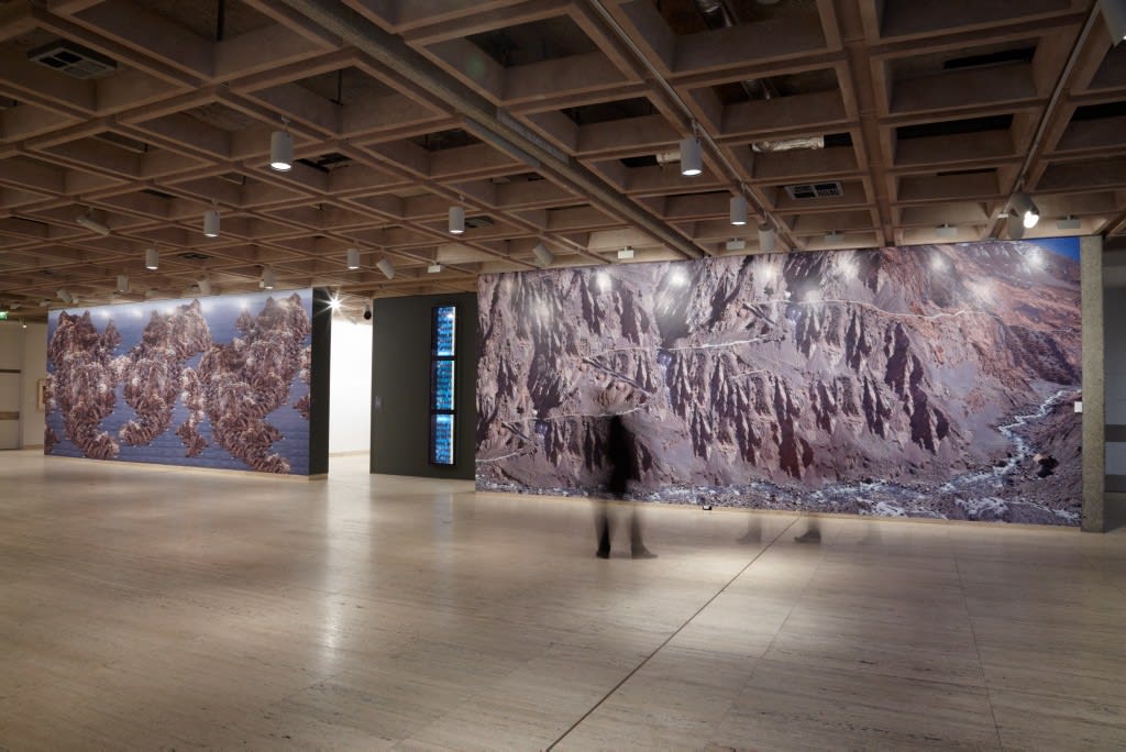 Jae Hoon Lee, Unguided Tours: Anne Landa Award, Art Gallery of New South Wales, Sydney, 2011