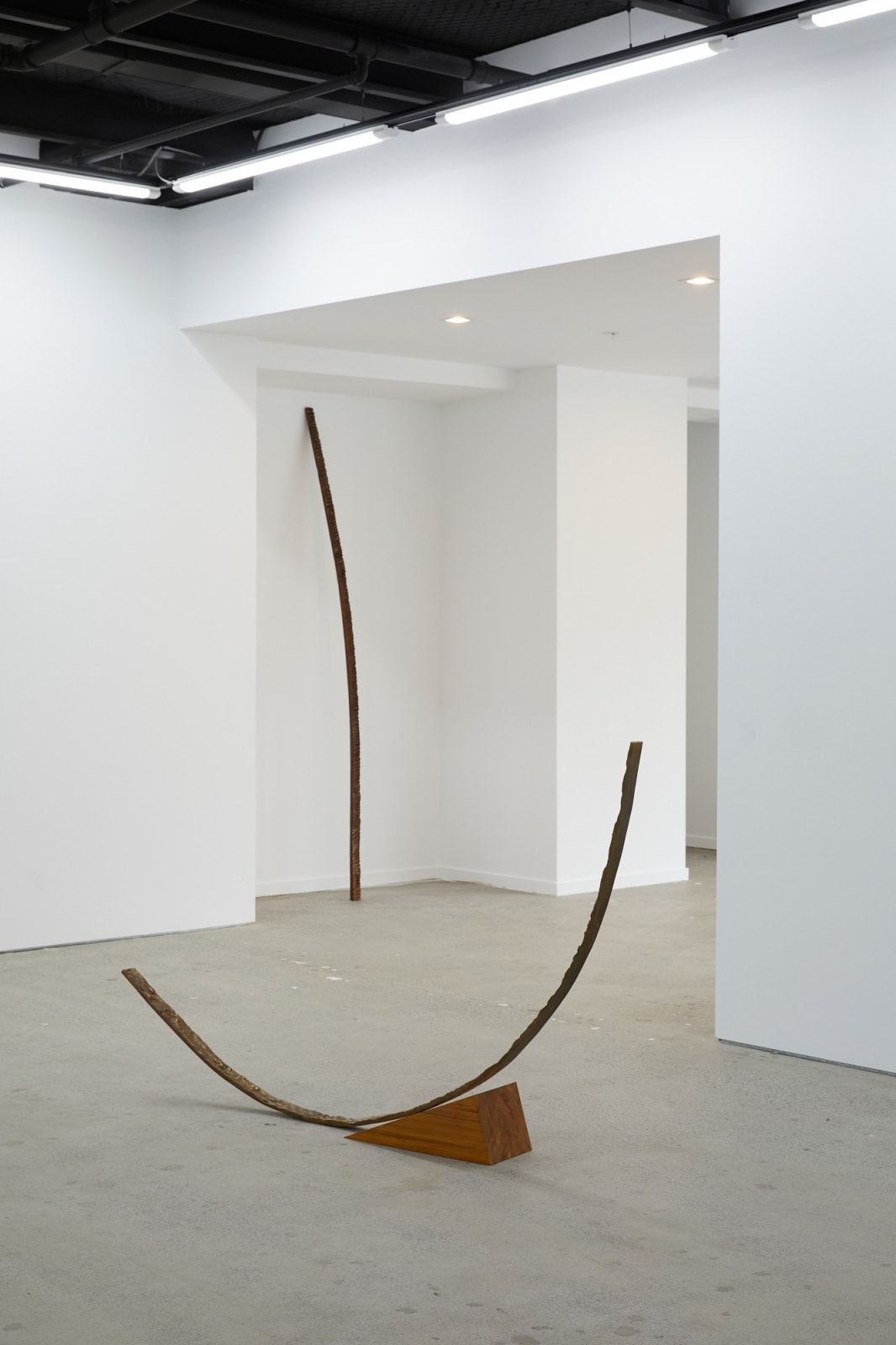 Hannah Valentine, (With Toss Woollaston) Something other, held in common (installation view), Bowerbank Ninow, Tāmaki Makaurau Auckland, 2019