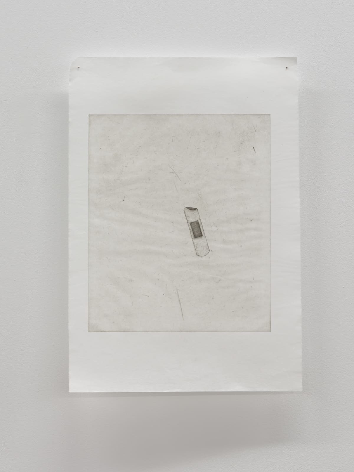 Luca Nicholas, in bloom xx, 2019