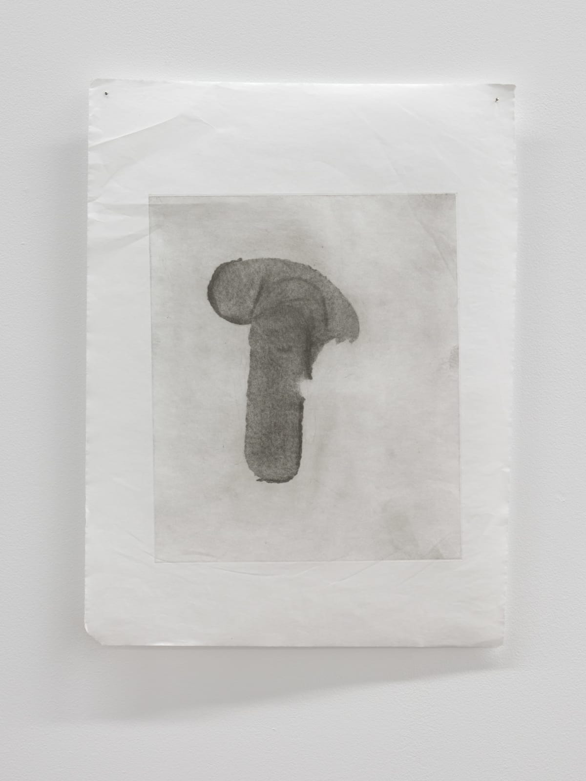 Luca Nicholas, in bloom xv, 2019