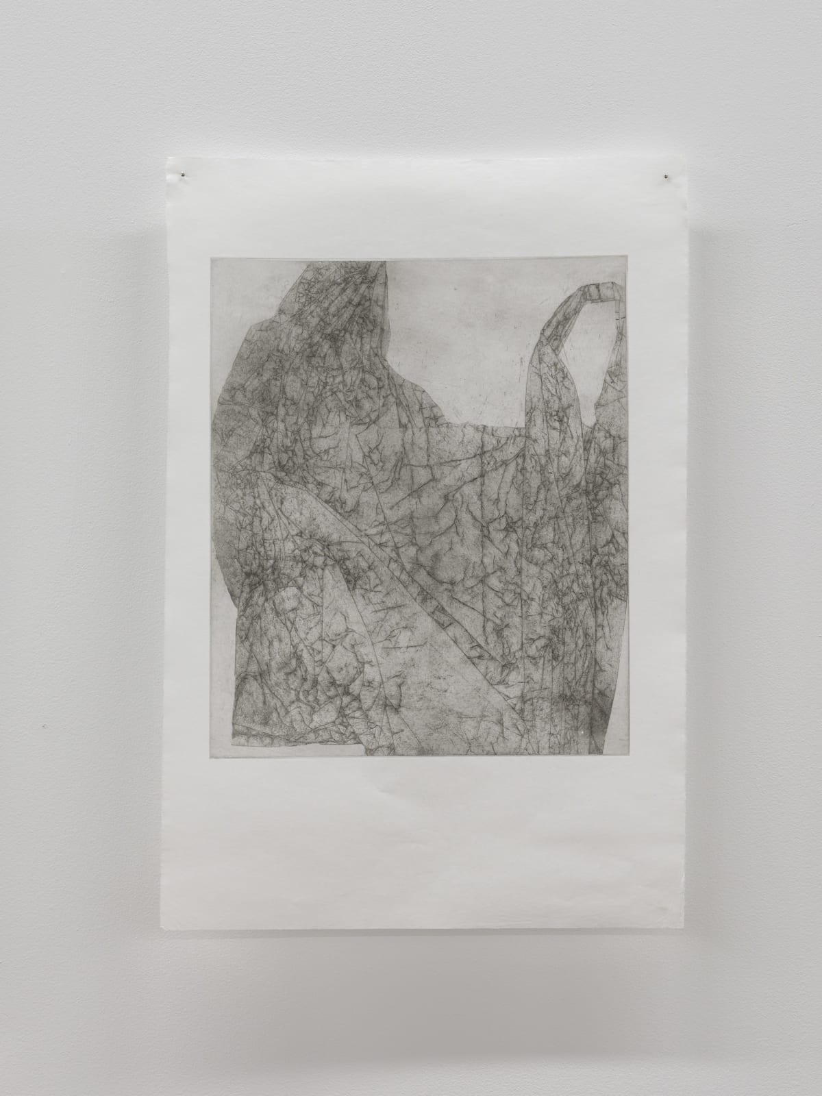 Luca Nicholas, in bloom xiii, 2019