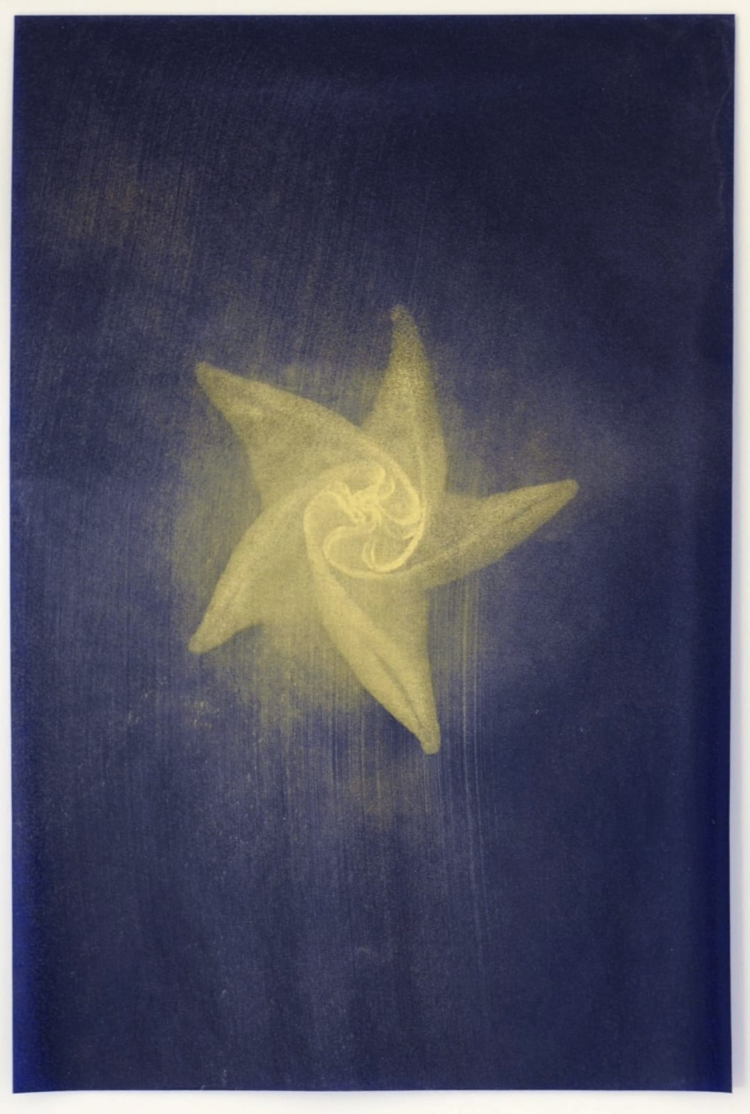 Nick Fox, Love's Sign 10, 2012