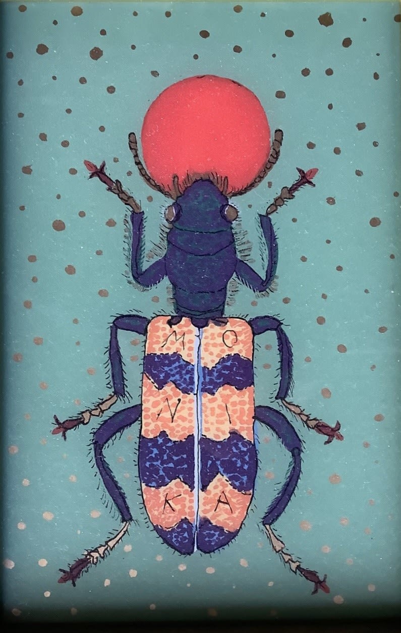 Monika Beisner, Beetle, 2009-2019