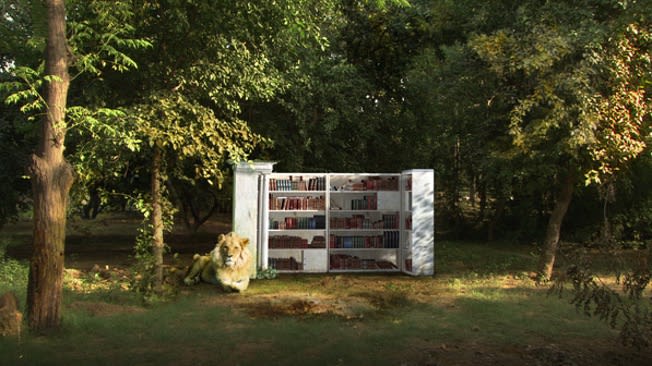 Forest, 2009
