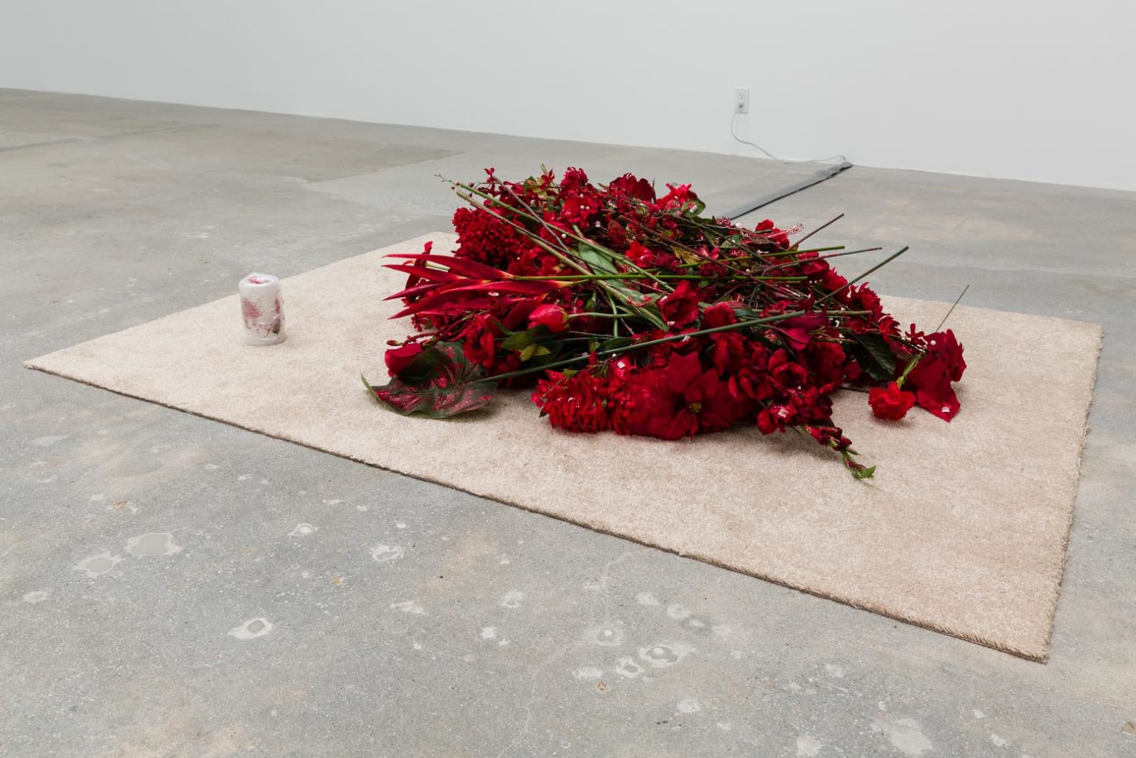 Amy Yao, Support, 2014