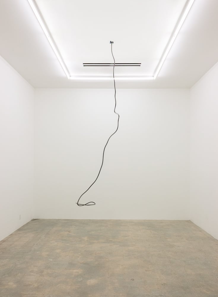 Sean Shim-Boyle, The Harp That Plays Itself, 2016