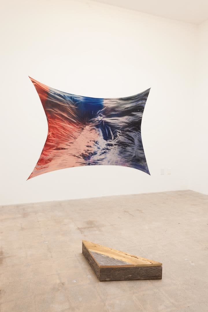 April Street, Wandering Limb #14, 2015