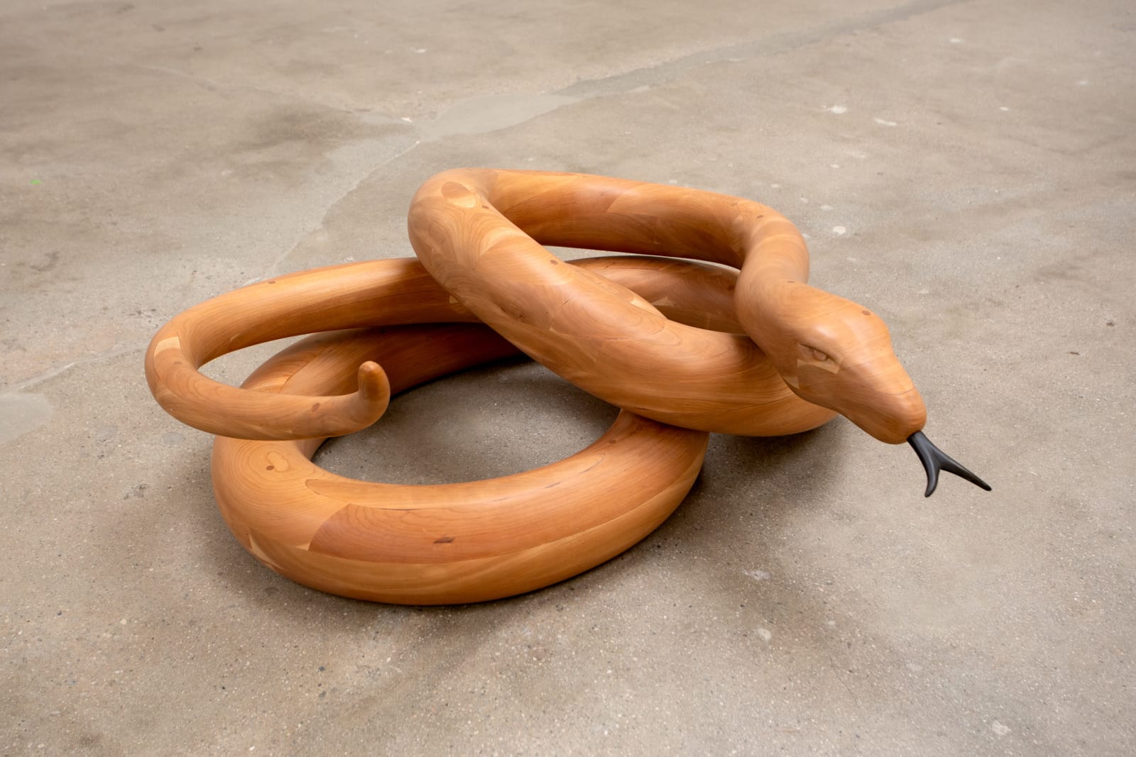 Gwynn Murrill, Big Snake, 2017