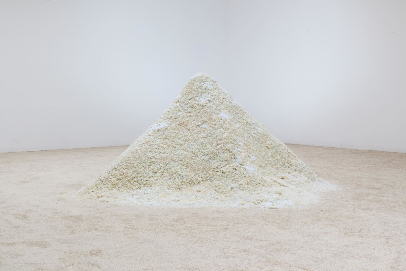 Amy Yao, Doppelgängers, 2016