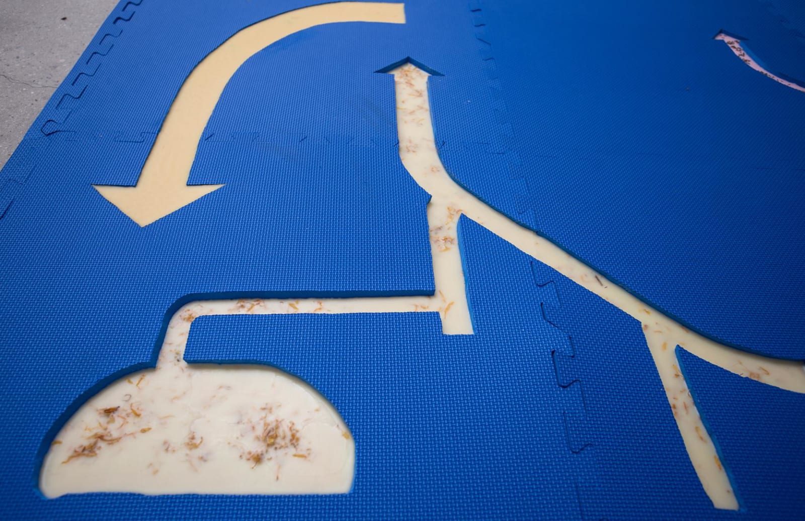 Natalie Labriola, Detoxification Floor (Blue), 2016