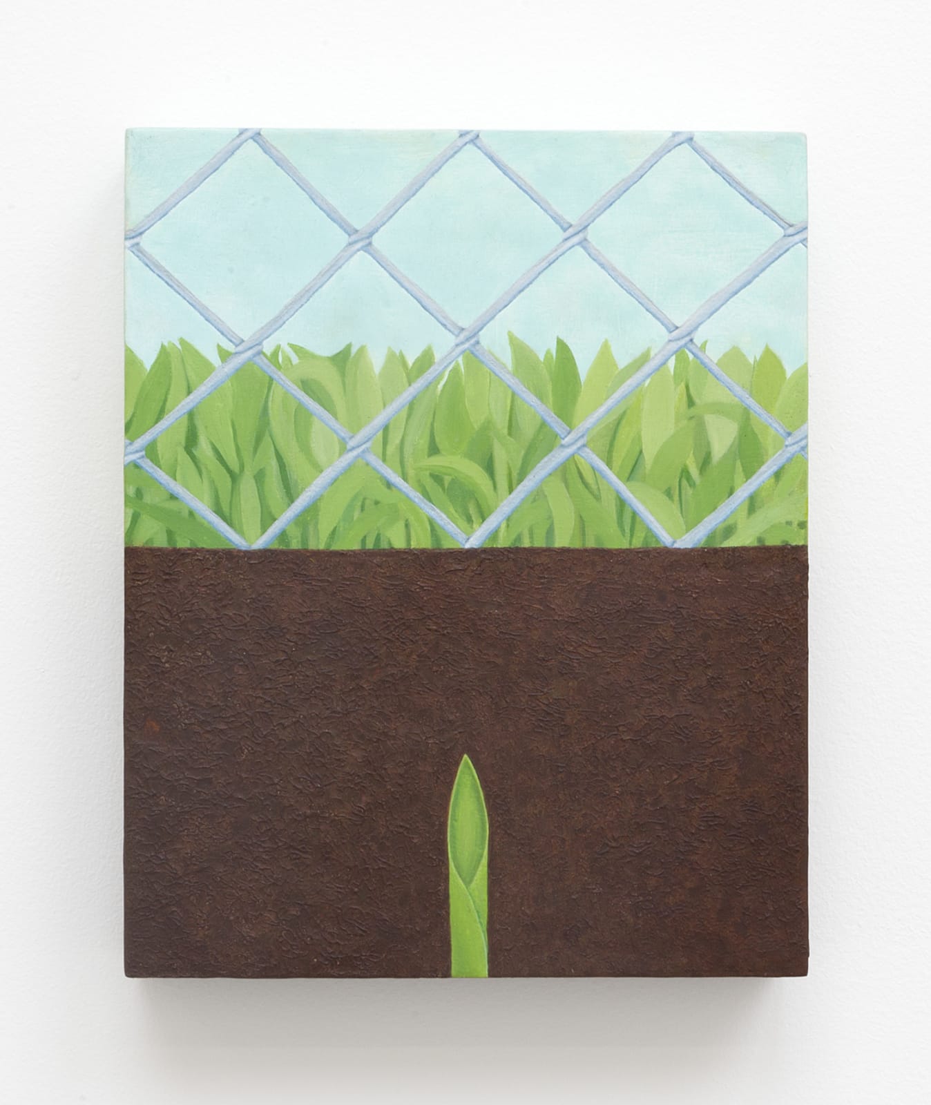 Ryan Richey, Late Bloomer, 2016