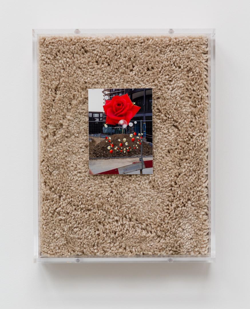 Amy Yao, Forgot TBD: Roses, 2014