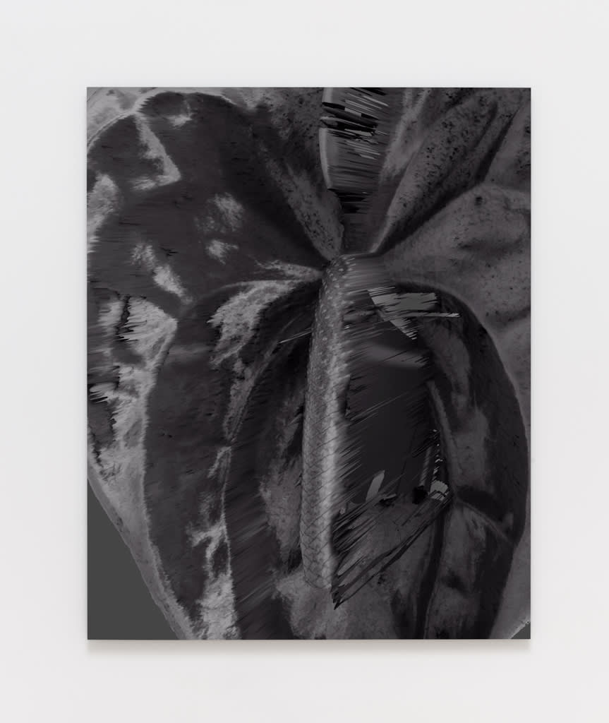 Amy Yao, Sometimes You Forget My Name (Anthurium Andraenum), 2016