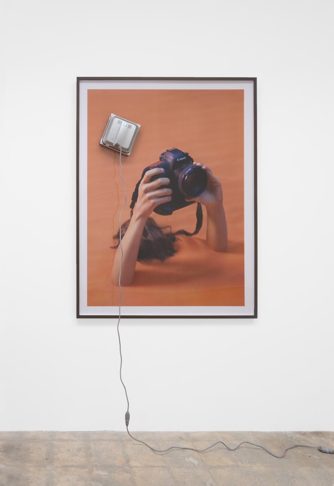DIS, Serenity Now, 2016