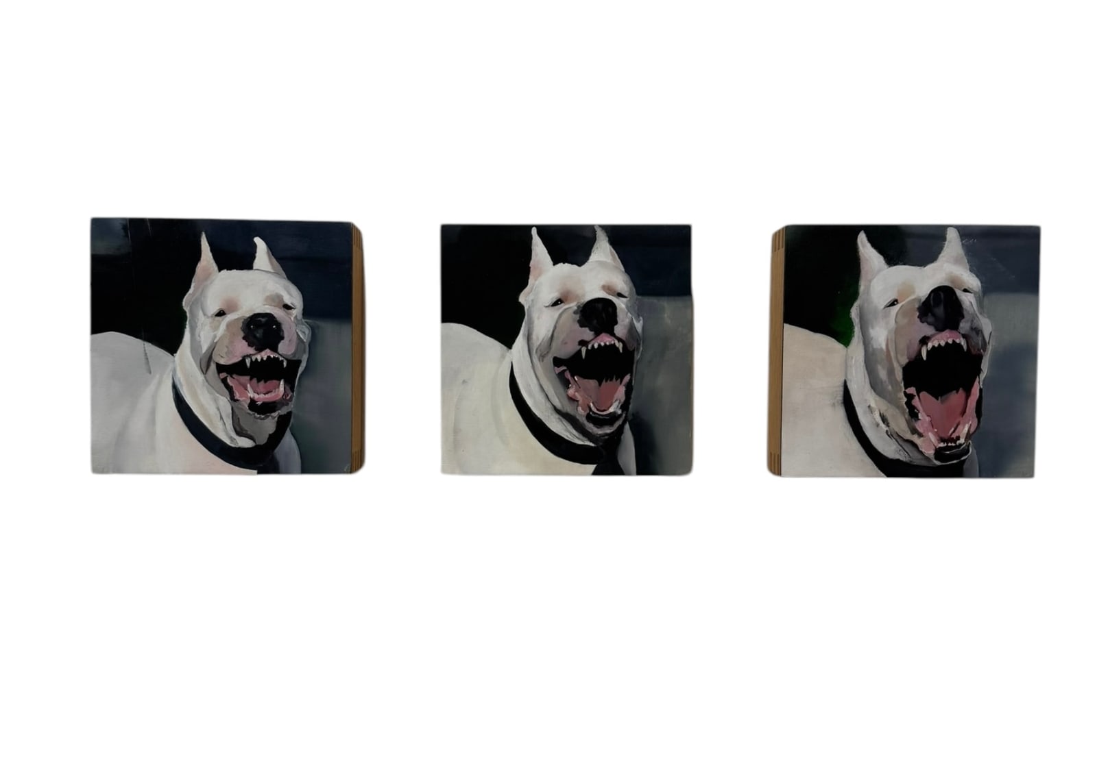 Valeria Terrazas, Bark Before the Bite [SET OF 3], 2025