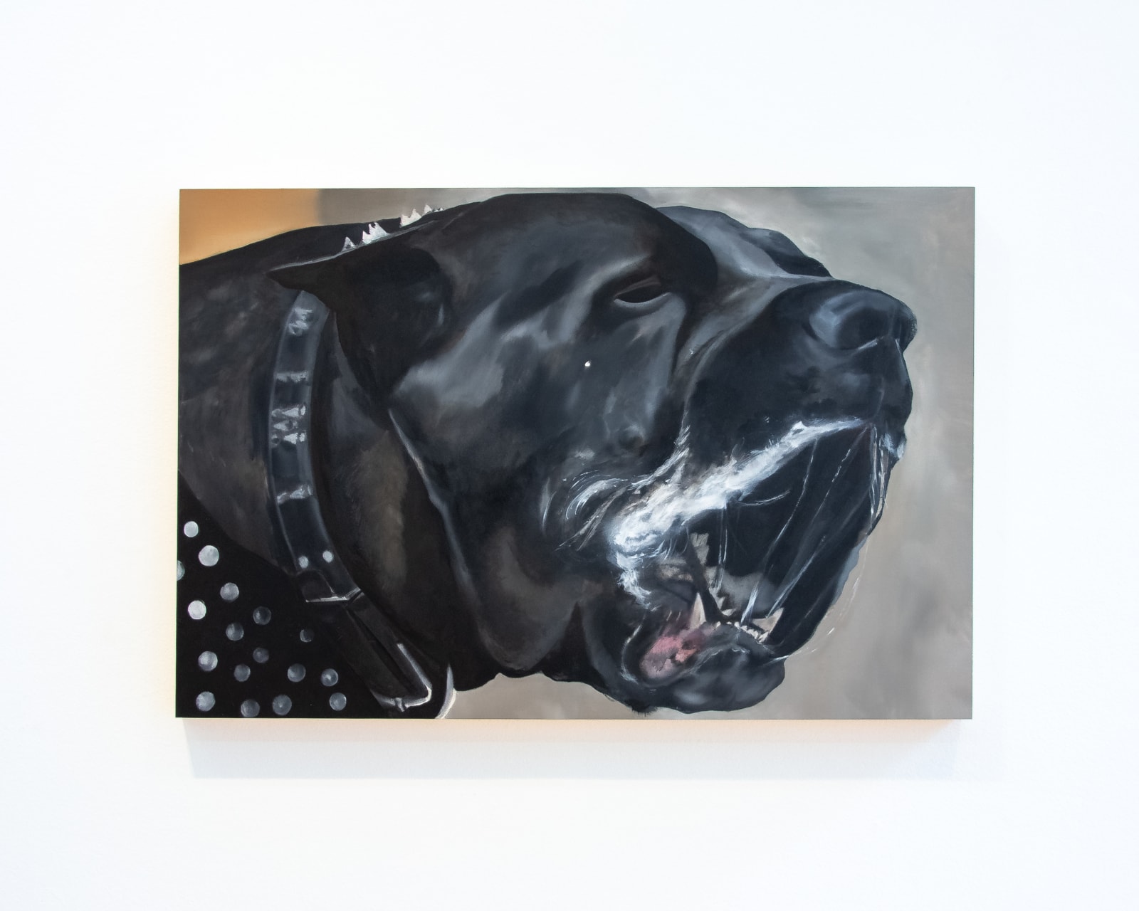 Valeria Terrazas, the la tiro yno suelto, 2025