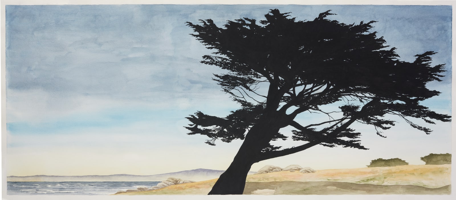 Sean Cavanaugh, Pacific Grove Lean, 2021