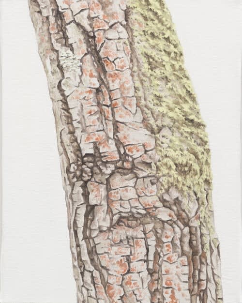 Sean Cavanaugh, Trunk No. 6, 2013