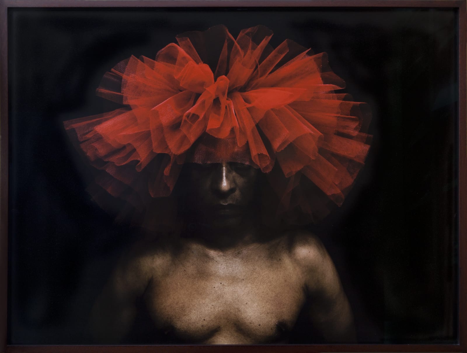 Rene Peña, Tutú , 2008