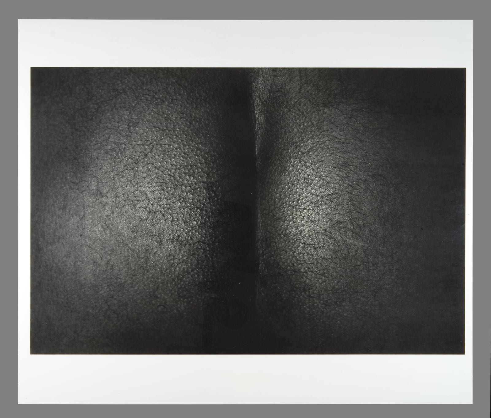 Rene Peña, S-T / Untitled , 1998-2001